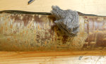 Rinde mit Stahlwolle polieren