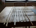 Saplinge nach dem Kaltrichten (jeden Tag)