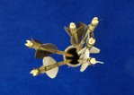 DSC01424.JPG