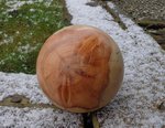DSC01428.JPG