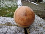 DSC01430.JPG