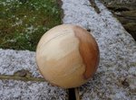 DSC01431.JPG