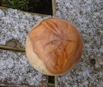DSC01432.JPG