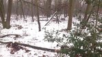 Das Habitat