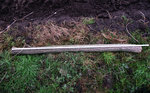 Holunder 1 gelegt. ca. 190 cm lang, unten 10 cm Durchmesser, oben 9 cm Durchmesser.