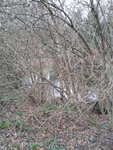 InNatur.jpg (287.03 KiB) 23693 mal betrachtet Da standen sie mal