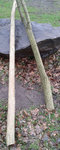 Ernte.jpg (137.07 KiB) 23691 mal betrachtet Schnippschnapp, Baum ab