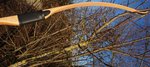 DSC01452.JPG
