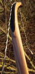 DSC01466.JPG