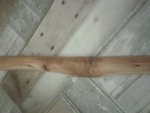 Aststelle_2