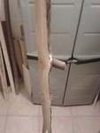 Ast mit 1,5cm im Stave von links gesehen