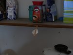 erster Schuss - ohoaha....