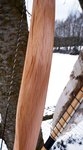 DSC01574.jpg