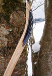 DSC01587.jpg