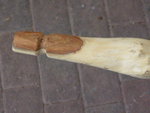 P1050168.JPG