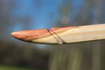 DSC_0065.jpg
