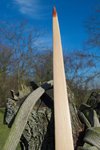 DSC_0079.jpg