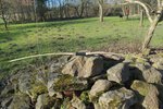 DSC_0070.jpg