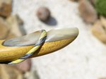 8 Tip2 Macro.jpg (151.07 KiB) 4592 mal betrachtet Tip