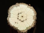 150423_Holzrätsel.jpg