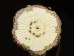 150423_Holzrätsel3.jpg