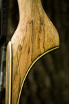 IMG_0929finforum.jpg