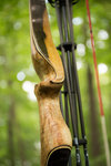 IMG_0932finforum.jpg