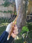 20150601_184352.jpg