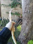 20150601_184300.jpg
