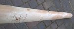 WP_20150608_006.jpg