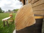 DSCN0218.JPG
