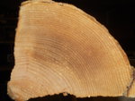DSCN0223.JPG