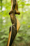 IMG_1267finforum.jpg