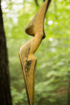 IMG_1269finforum.jpg