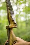 IMG_1277finforum.jpg