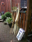 DSCN3063.JPG