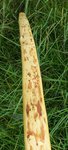 20150623_165532.jpg