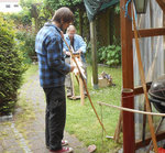 Jetsam und Arcito.jpg