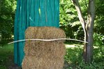 DSC_0684.jpg