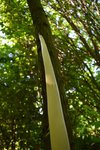DSC_0718.jpg