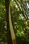 DSC_0719.jpg