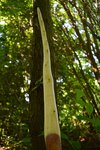 DSC_0720.jpg