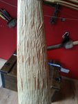 20150709_184749.jpg