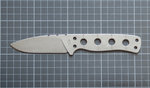 Companion01.jpg