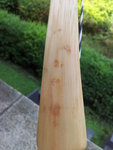 Bild 2.jpg