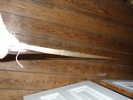 P1000403.JPG