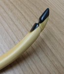 Nockdetail