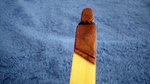SDC10664.JPG