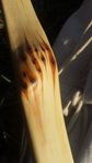 20151227_133401.jpg