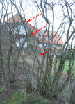 Habitat